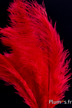 Autruche - 30-40 cm - rouge
